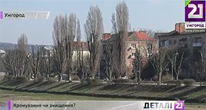 Деревья кронировали на нескольких десятках улиц