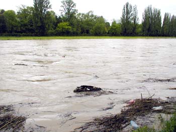 Река Уж, протекающая через областной центр Закарпатья г.Ужгород