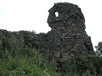 Предки графа Дракули володіли Хустським замком на Закарпатті 