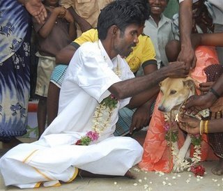 Газета опубликовала снимок Селвакумара, сидящего рядом с собакой, одетой в оранжевое сари и украшенной цветочным венком.