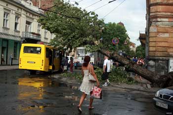 Жертвами урагана на Львовщине стали четыре человека
