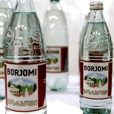 IDS Borjomi Group принадлежит фонду Salford Capital Partners и владеет заводами по розливу минеральной воды в грузинском Боржоми, а также Миргородским, Моршинским и Трускавецким заводами минеральных вод на Украине. 