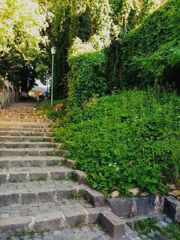 Замковая лестница в Ужгороде 