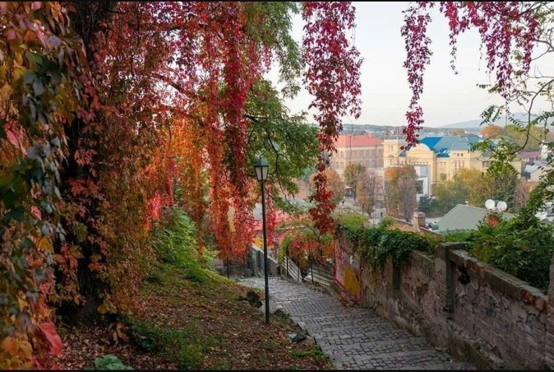 Панорама Ужгорода с замковой лестницы