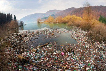 Туристический объект на Закарпатье потопает в мусоре