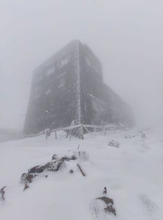 Густой туман и метель разразился в конце мая на Закарпатье 