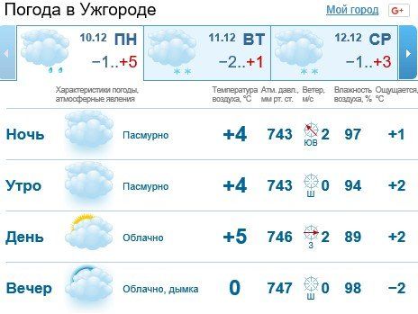 11 декабря в Ужгороде будет облачно, возможно пройдет снег