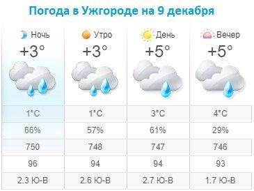 Прогноз погоды в Ужгороде на 9 декабря 2019