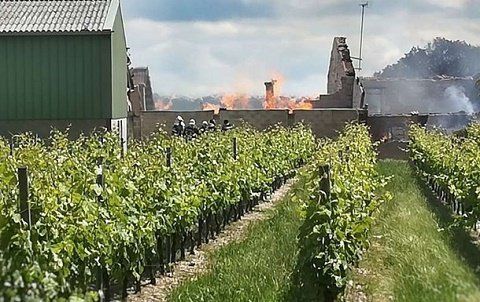Во французском регионе Коньяк пожар уничтожил колоссальные запасы благородного напитка