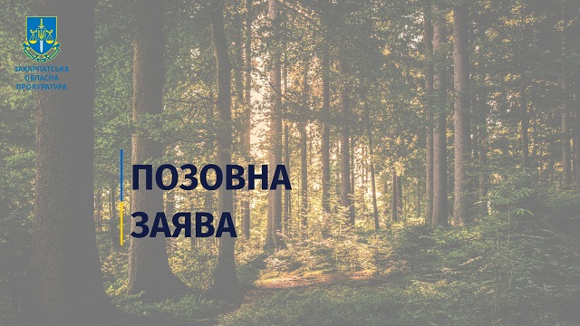 В Закарпатье прокуратура судится за почти 100 га лесных земель