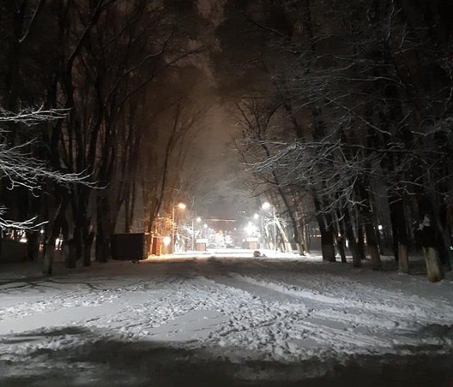 В Ужгороде пресекли незаконное отчуждение недвижимости в Боздошском парке 