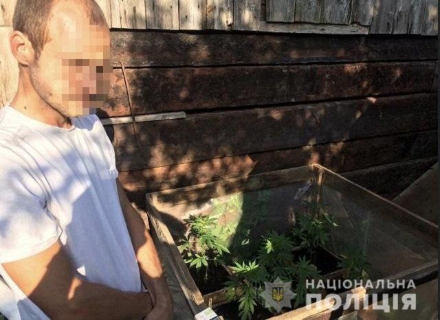 В Закарпатье полицейские выявили очередного молодого наркофермера