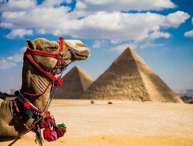 Туристам на заметку: Египет будет требовать негативные ПЦР-тесты для въезда