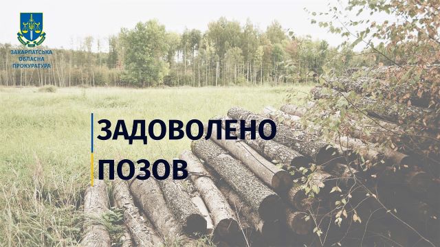 Миллионные убытки от вырубки будет возмещать лесхоз в Закарпатье 