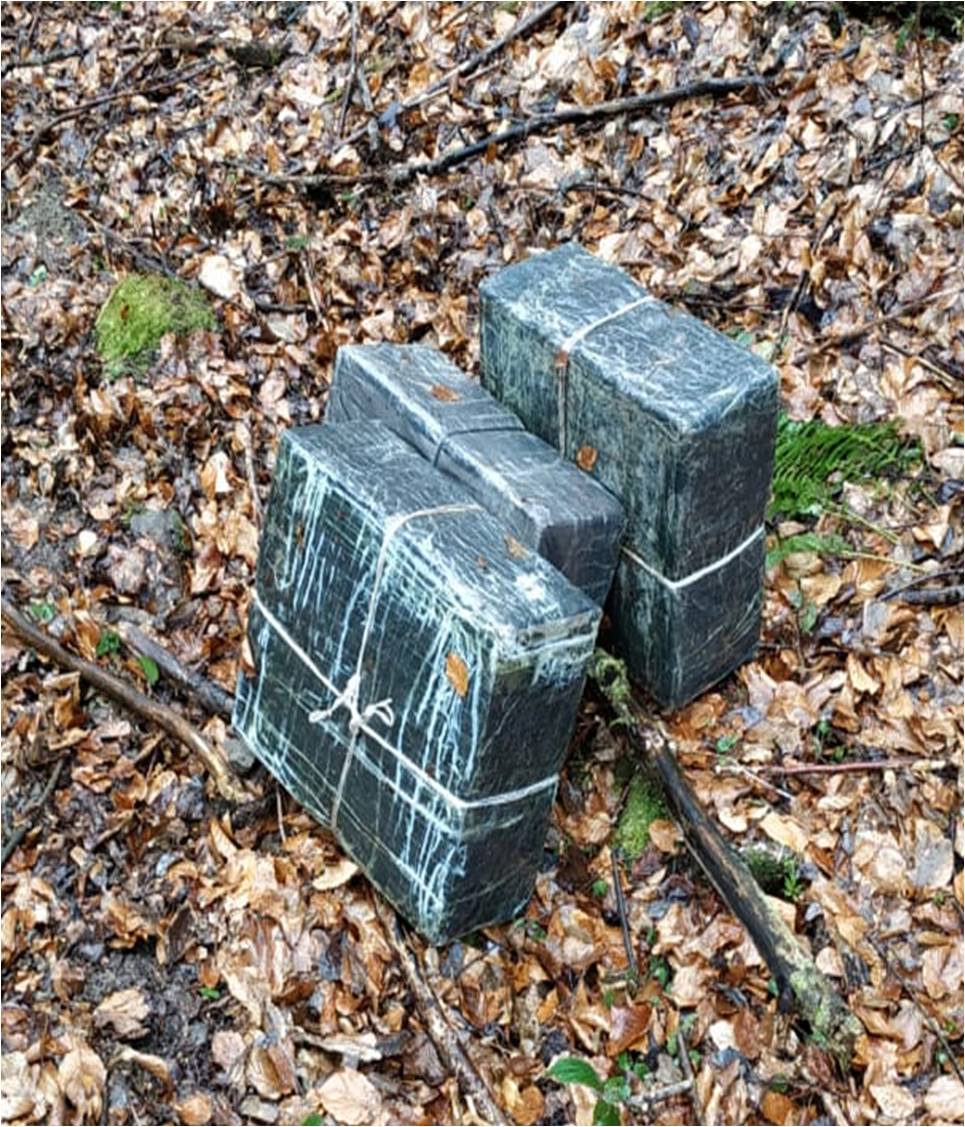 На Закарпатье в лесах вместо грибов находят брошенные коробки с "подарками"