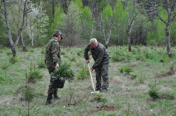 Акція "Майбутнє лісу в твоїх руках" крокує Ужгородщиною
