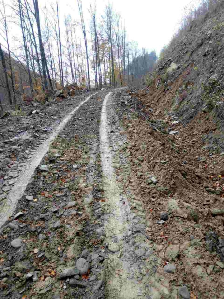 Будівництво лісових доріг — один із пріоритетів у роботі Закарпатського ОУЛМГ