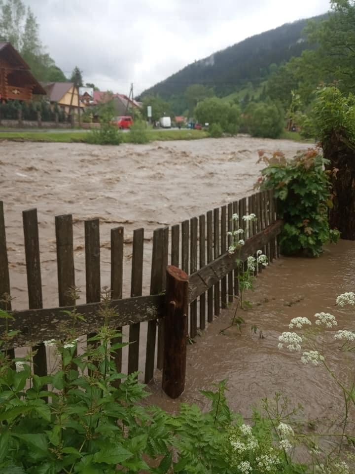 В Закарпатье вышедшая река из берегов устроила потоп в селе