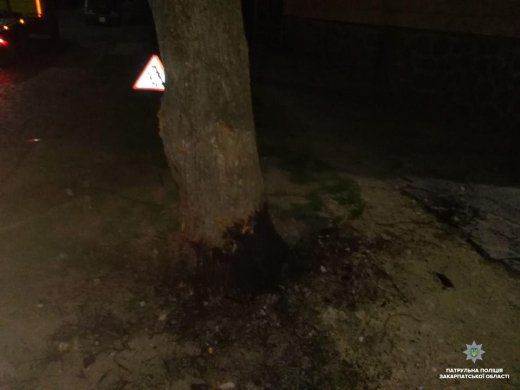 Вночі в Мукачеві водій не розминувся з деревом