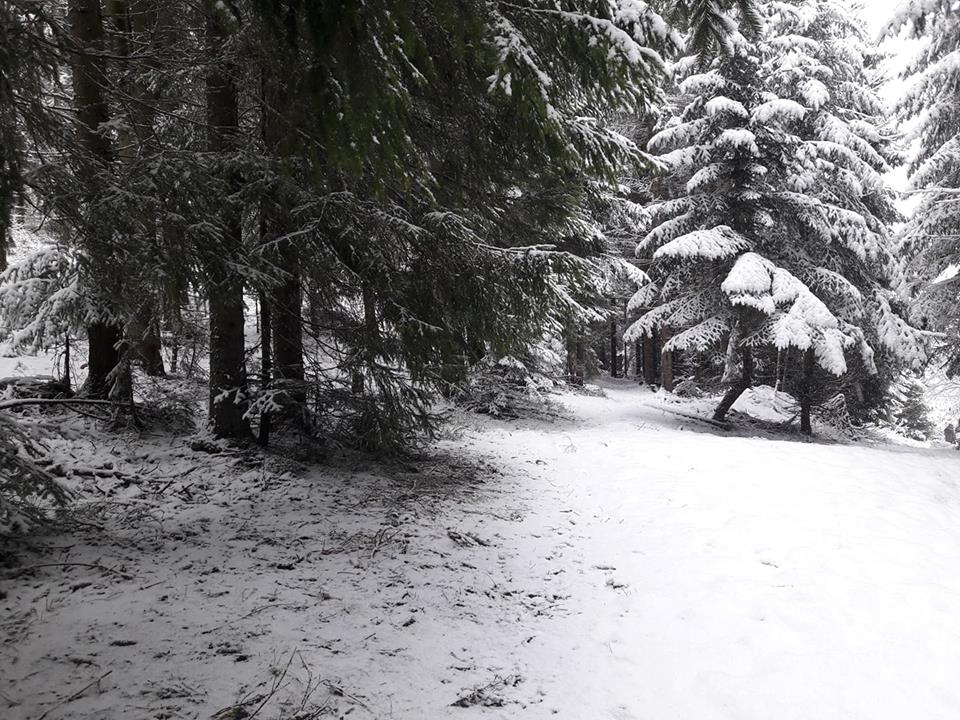 Закарпаття. Гірські населені пункти знову святкують сніжну зиму