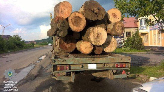 Закарпатские патрульные остановили две фуры с незаконной древесиной