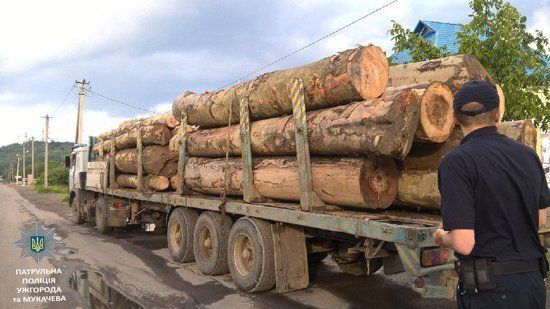 Закарпатские патрульные остановили две фуры с незаконной древесиной