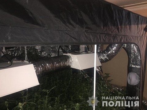 Закарпатские полицейские обнаружили нарколабораторию (ФОТО, ВИДЕО)