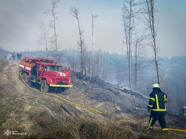 В Закарпатье горит 3 гектара лесхоза