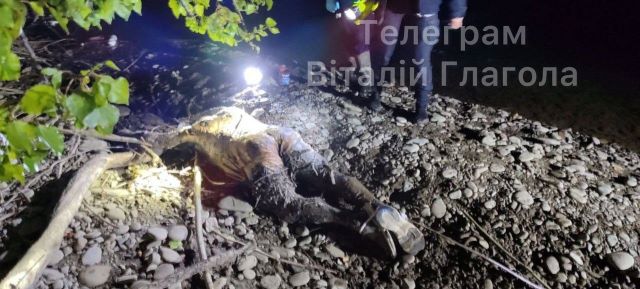 33-го погибшего уклониста нашли на берегу Тисы в Закарпатье