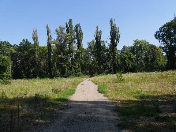 В Боздошском парке в Ужгороде заработал новый фонтан