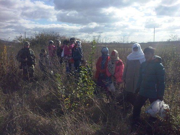 На границе с Венгрией пограничники обнаружили и задержали нелегальных мигрантов