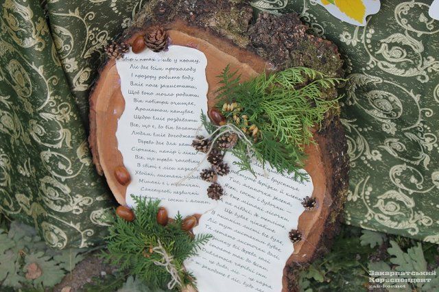 В Ужгороде состоялся «Праздник леса»