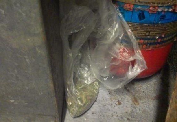 В поезде «Прага-Киев» пограничная собака обнаружила наркотики