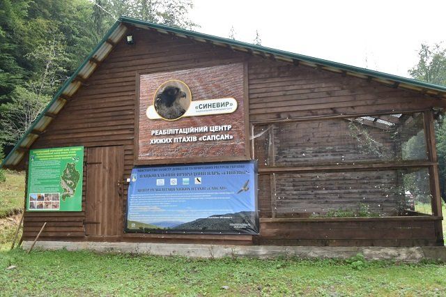В Національному парку Синевир врятували пернатого хижака