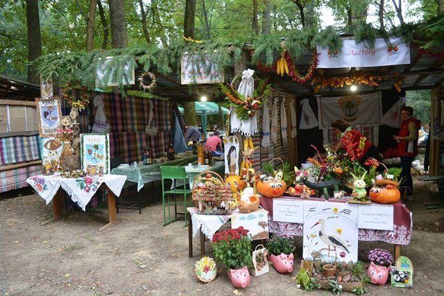 Фестиваль "БерегФест" в Закарпатье – удался на славу