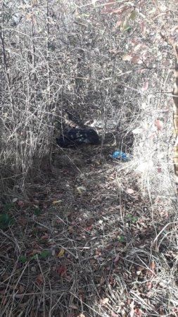 В Закарпатье обнаружили мертвое тело неизвестного человека 