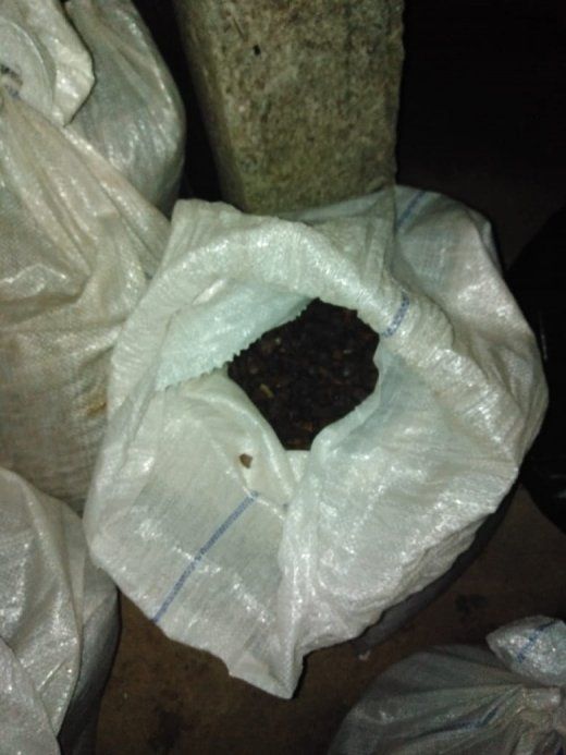 В Закарпатье на окраине города нашли мешки с сотнями килограмм драгоценного камня