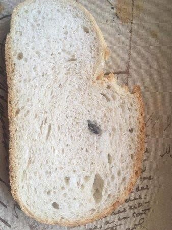 В Закарпатье местная жительница купила хлеб с тошнотворным "сюрпризом"