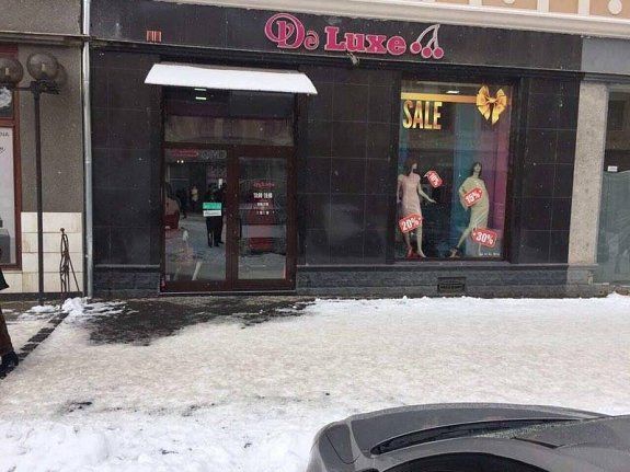 Ужгородский горсовет проверял как выполняются требования по уборке снега
