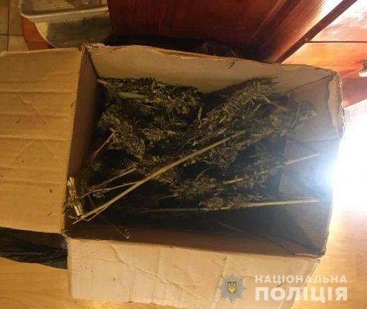 В Закарпатье при обыске дома полицейские сорвали крупный "куш" 
