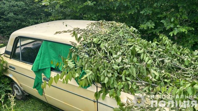 В Закарпатье в лесу нашли угнанное авто