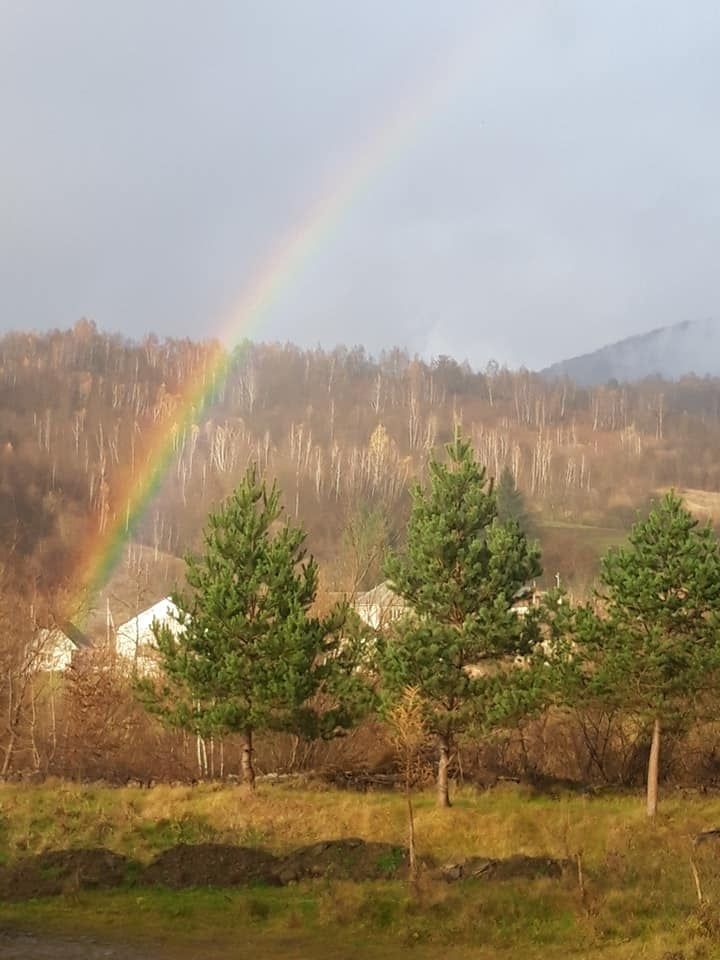 В Закарпатье на начале ноября увидели редкое оптическое явление