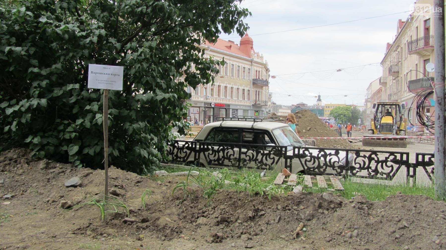 Ужгородці збиратимуть врожай овочів на площі в центрі Ужгорода