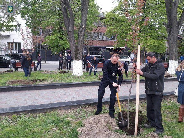 Глава Нацполиции Украины сажает сакуры в Ужгороде
