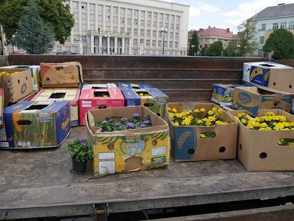 Возле памятника Тарасу Шевченко в Ужгороде создают композицию из цветов