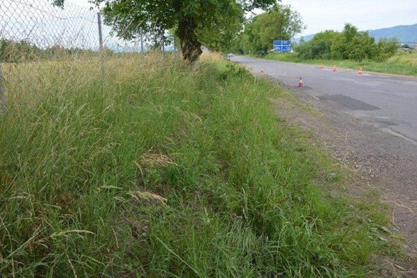 Смертельное ДТП на Закарпатье: Мотоцикл вылетел в кювет