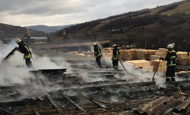 В Закарпатье 11 человек тушили большой пожар 