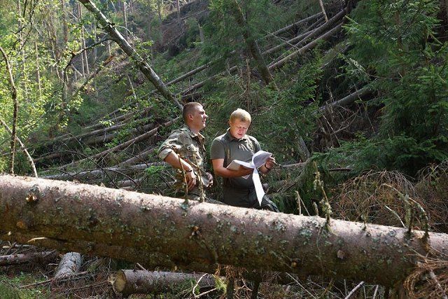 Ураган на Раховщине принес хлопот работникам леса