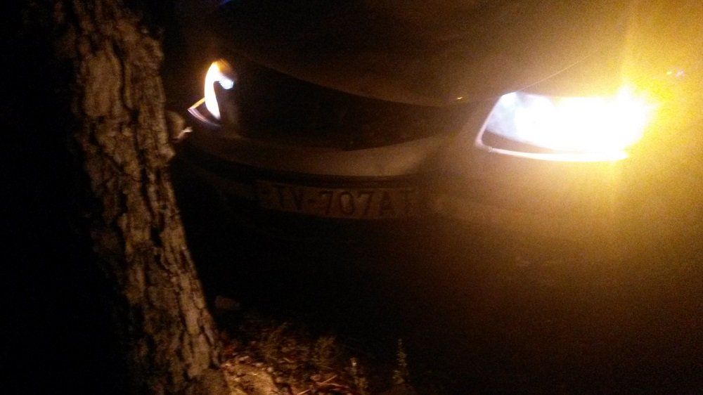 Volkswagen с номерными знаками словацкой регистрации врезался в дерево