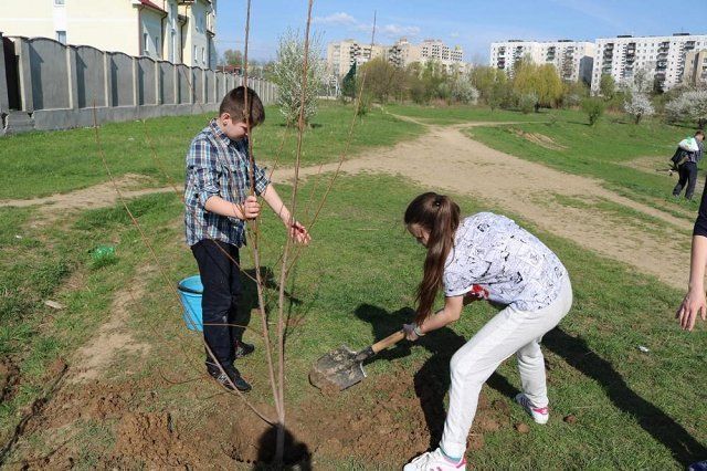 В Ужгороде на "Кирпичке" высадили десятки молодых деревьев
